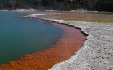 Year in New Zealand (Journey)